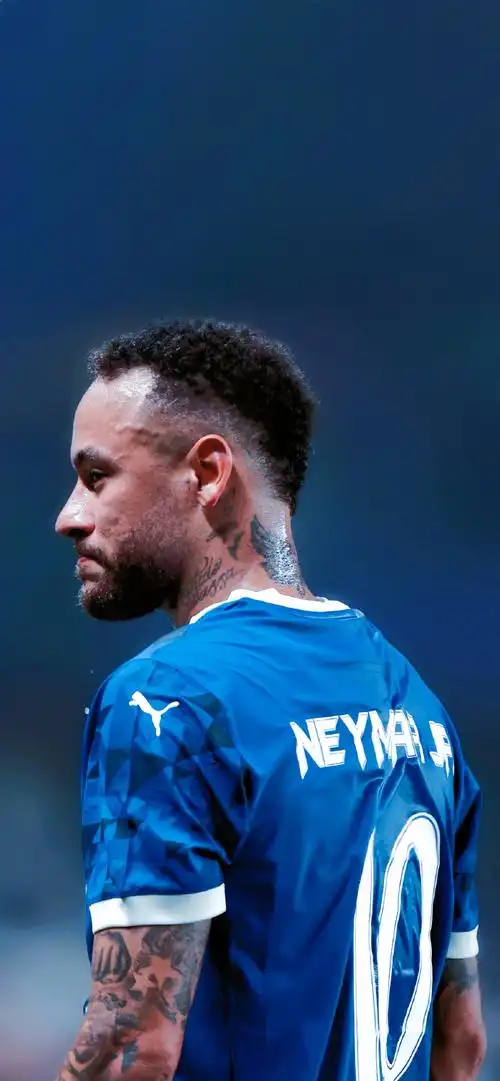 而另一些则 而另一些则