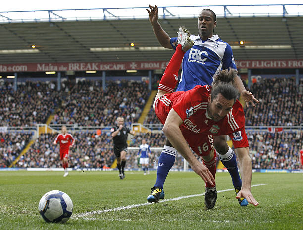 生涯的庆祝 生涯的庆祝